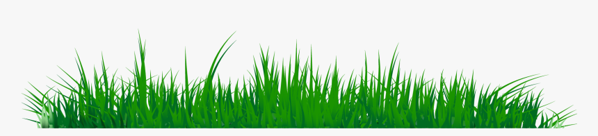 Grass Clipart Png Image 07 - Sweet Grass, Transparent Png