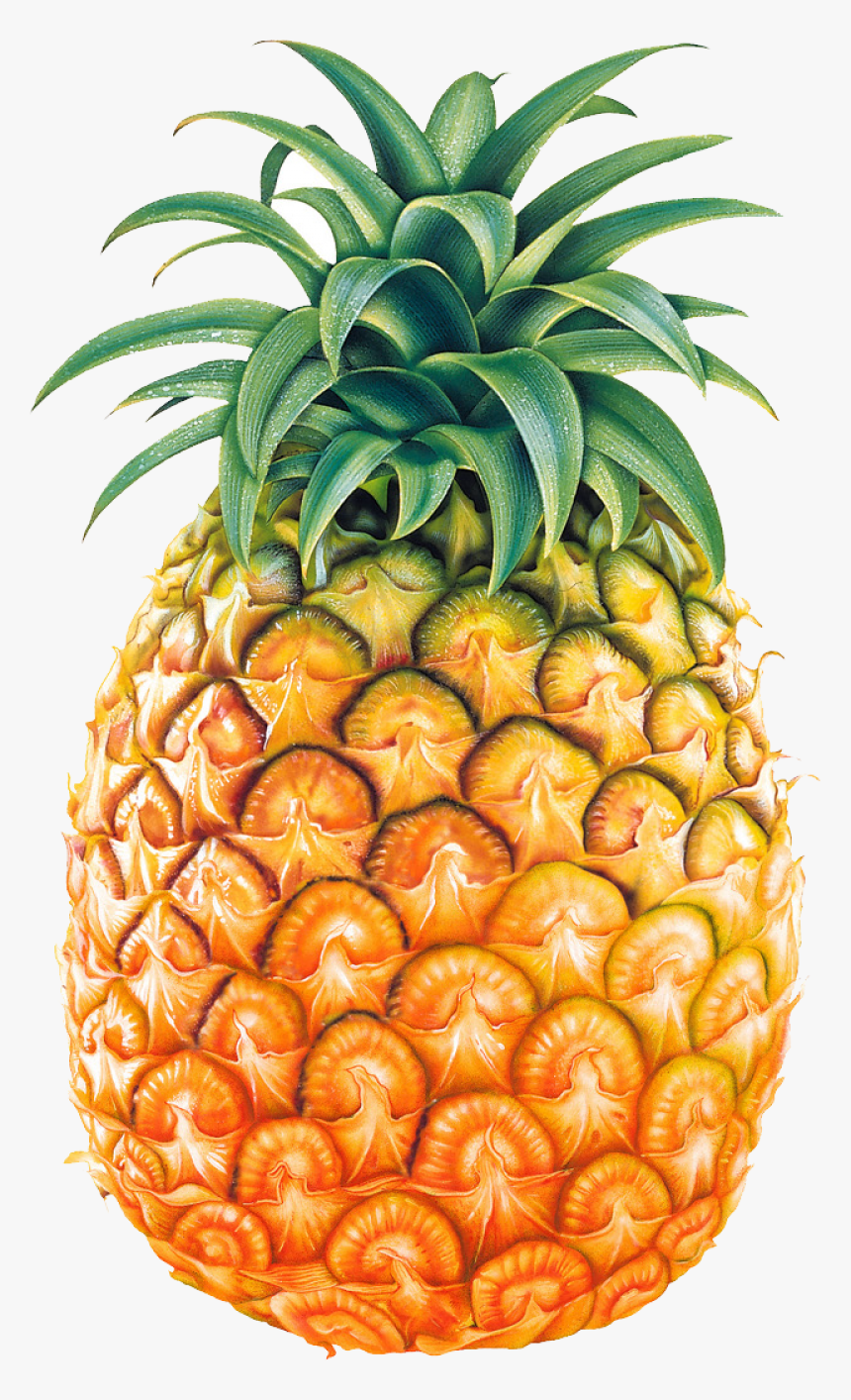Pineapple Fruit Png Image - Pineapple Png, Transparent Png