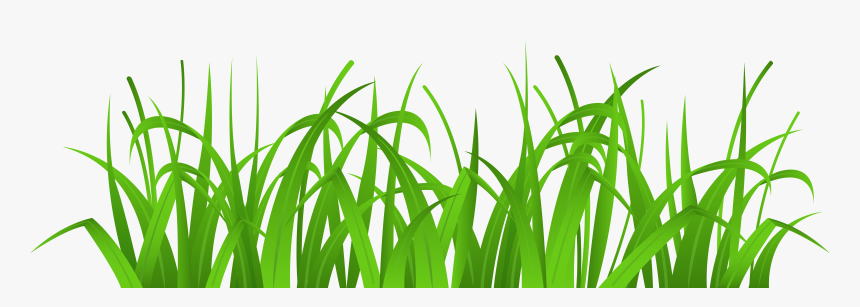 Grass Cover Png Clip Art - Clipart Grass, Transparent Png