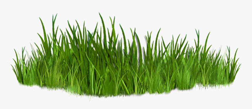 Clip Art Images Of Grasses 7 Png - Pathways To Recovery, Transparent Png