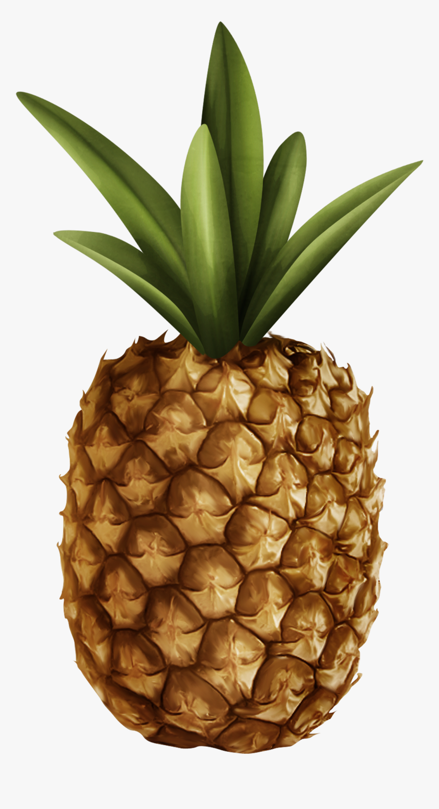 Pineapple Png Clipart - Pineapple, Transparent Png