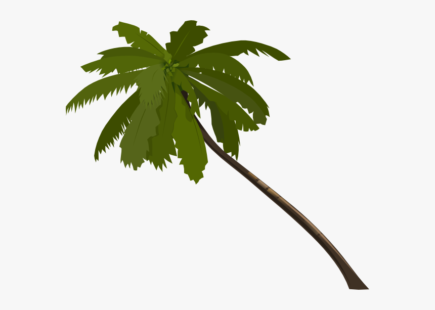 Clip Art Jungle Tree, HD Png Download