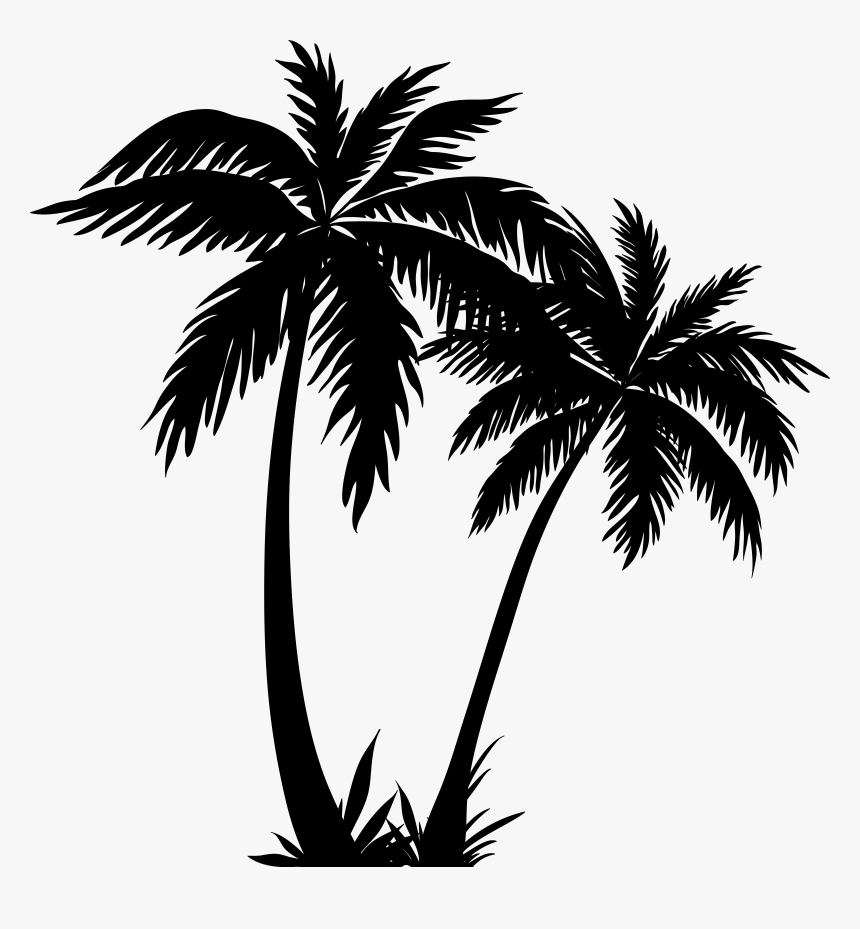 Arecaceae Silhouette Clip Art, HD Png Download