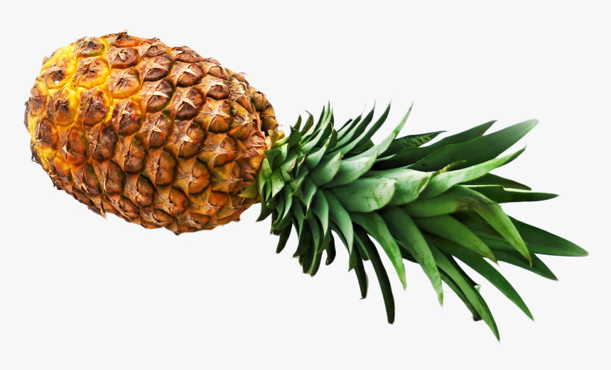 Pineapple, HD Png Download