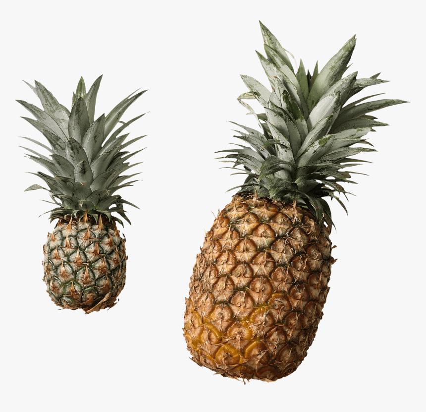 Pineapple Duo - Fresh And Canned Pineapple, HD Png Download