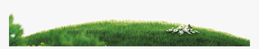 Grass Plain Png, Transparent Png