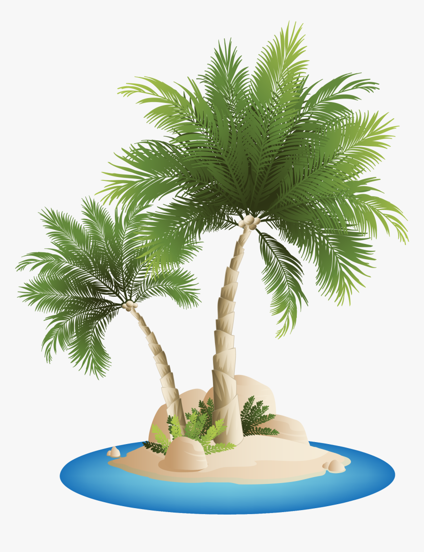 Islands Beach Clip Art - Beach Coconut Tree Png, Transparent Png