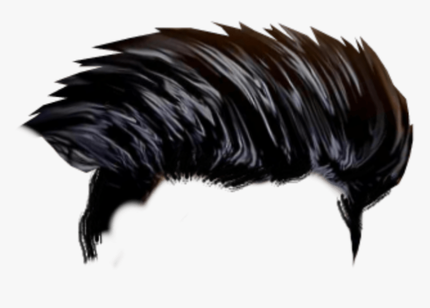 Cb Hair Png Download - Hair Png For Editing, Transparent Png