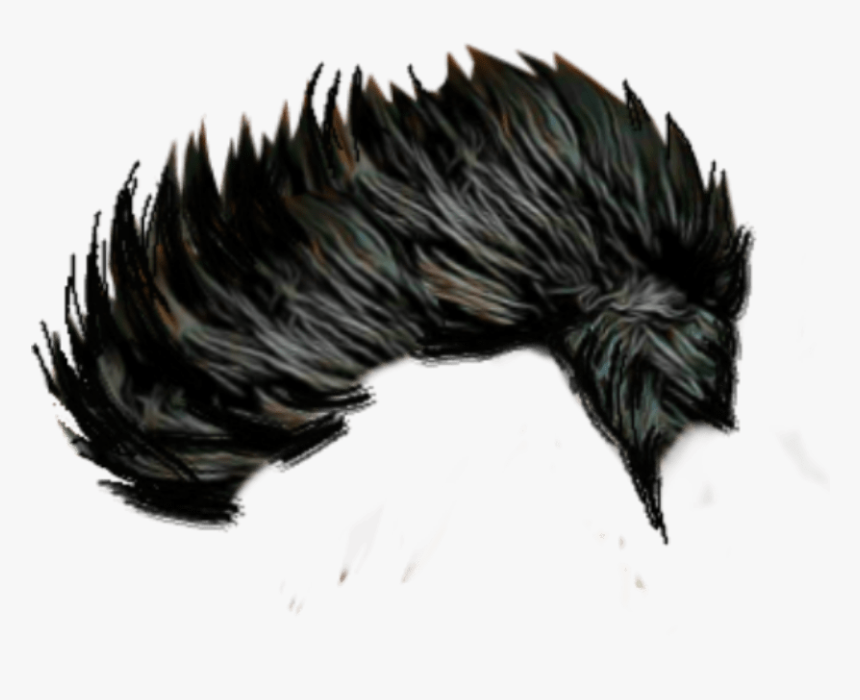 Cb Hair Png Download - Men Side Hair Png, Transparent Png