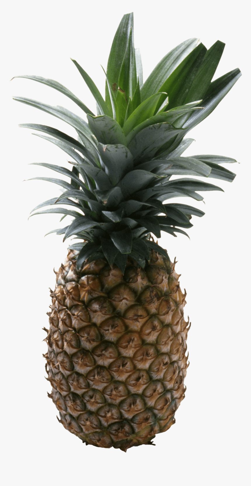 Pineapple Png No Background - Pineapple With No Background, Transparent Png