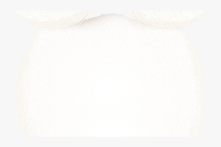 Transparent Beard Png - White Stork, Png Download
