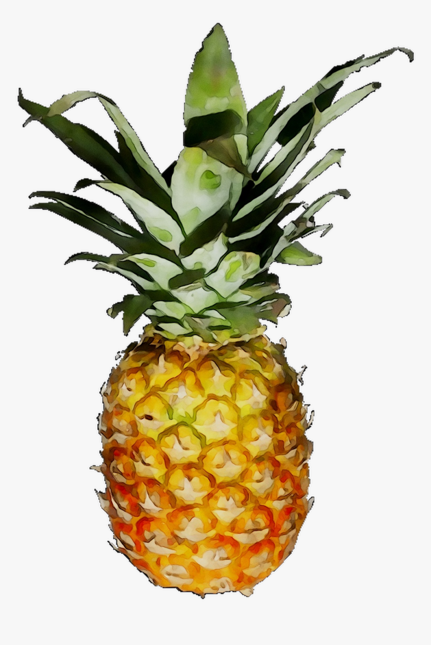 Png Download - Pineapple Jpg Transparent Background, Png Download