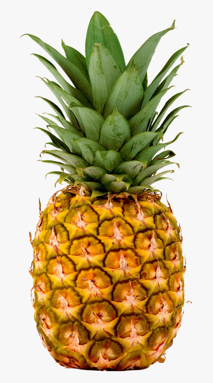 Pineapple, Pineapples Fresh Imports - Transparent Pineapple, HD Png Download