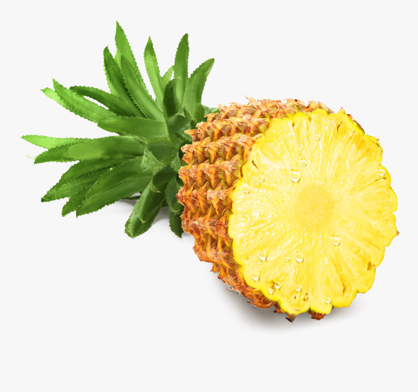 Transparent Pineapple Clipart Png - Transparent Pineapple Png, Png Download