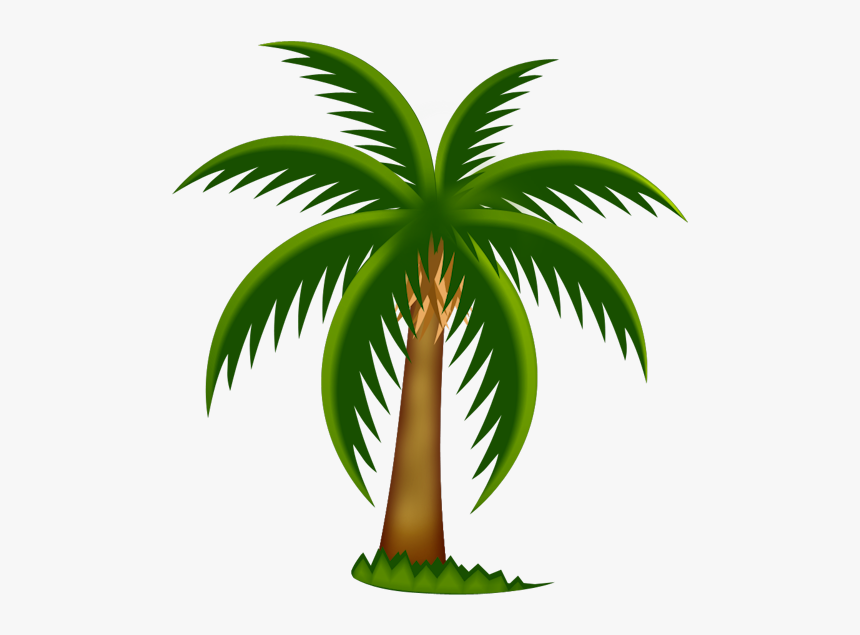 Cartoon Palm Tree Clip Art Free - Palm Tree Clip Art, HD Png Download