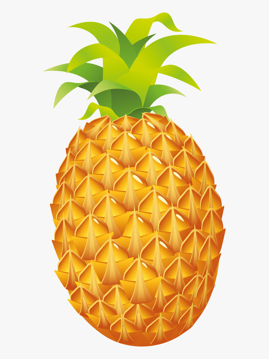 Pineapple - Foods From Plants Clipart, HD Png Download