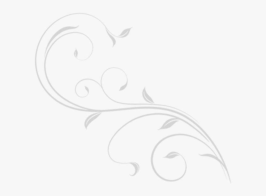 Swirl Png Images In - Sketch, Transparent Png