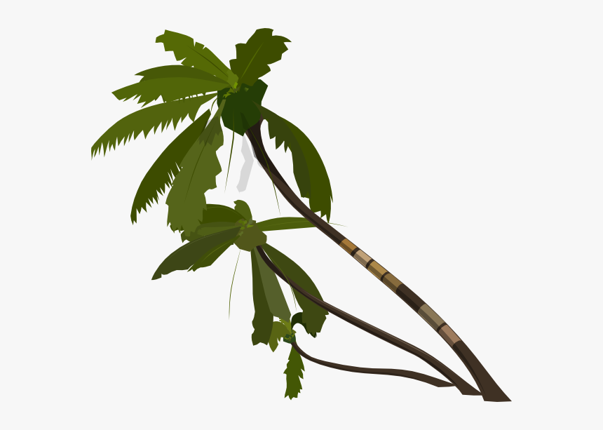 Palm Tree Clip Art, HD Png Download