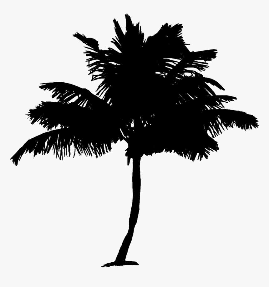 Palm Tree Coconut Palm Tree Tree Free Picture - Black And White Transparent Image Palm Trees, HD Png Download