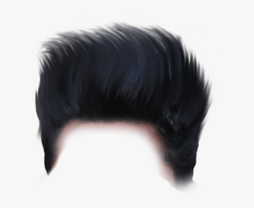 Black Hair Png Hd, Transparent Png