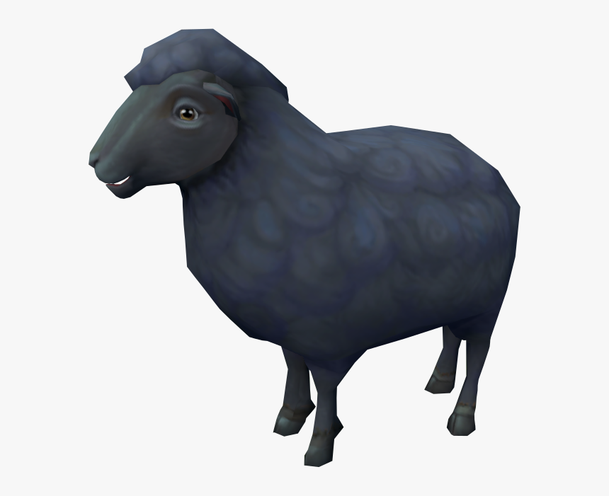 Sheep, HD Png Download