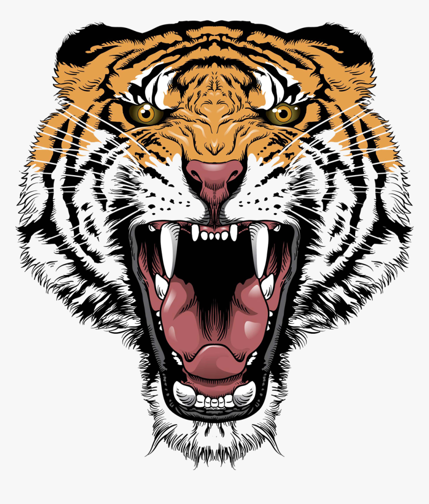 Tiger Face Transparent Png - Tiger Face Transparent Background, Png Download