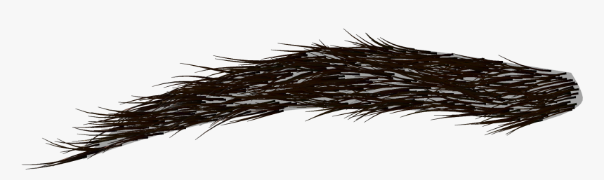 Eyebrow Png Transparent - Eyebrows Png, Png Download