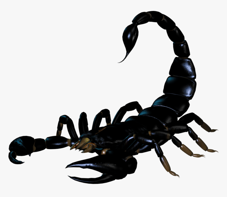 Black Scorpio Png Pic - Скорпион Пнг, Transparent Png