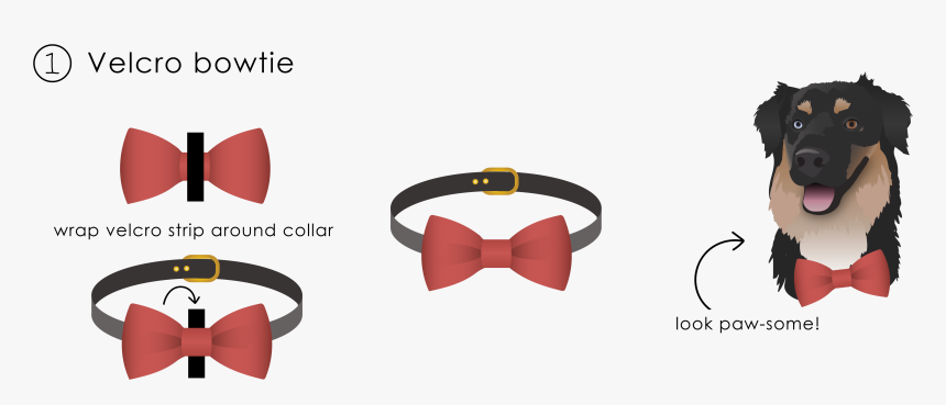 Transparent Bowtie Png - Buckle, Png Download