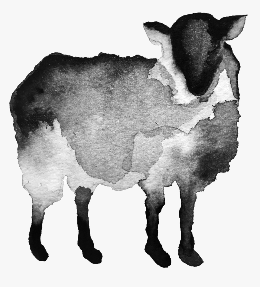 Black Sheep Transparent Copy - Black Sheep Transparent, HD Png Download
