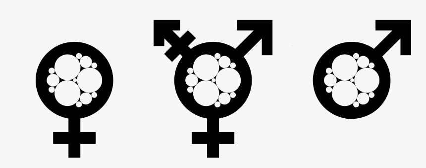Transparent Gender Symbols Png - Transgender Flag, Png Download