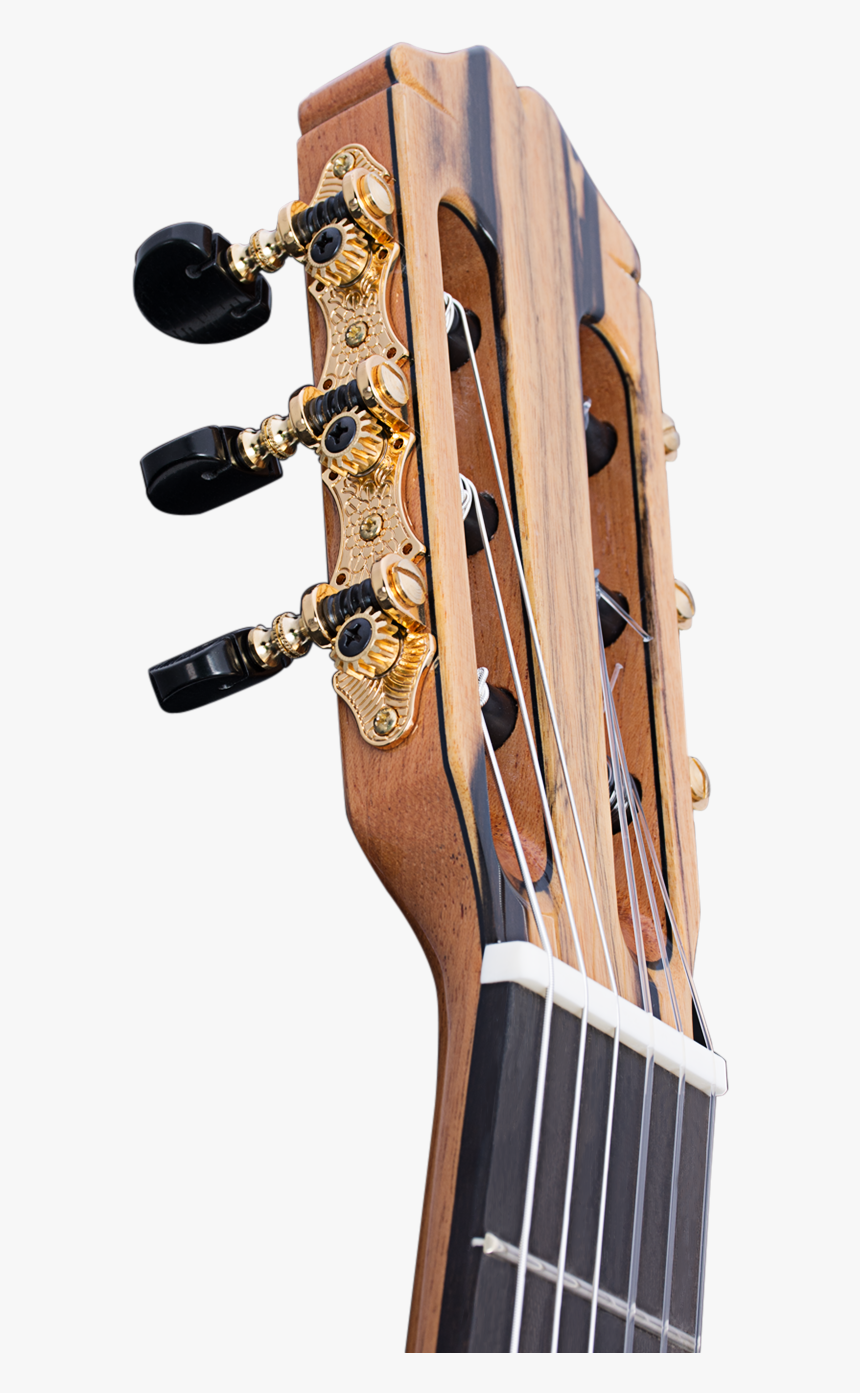 Transparent Guitar Headstock Png - Acoustic-electric Guitar, Png Download