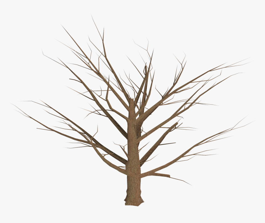 Dead Tree Png, Transparent Png