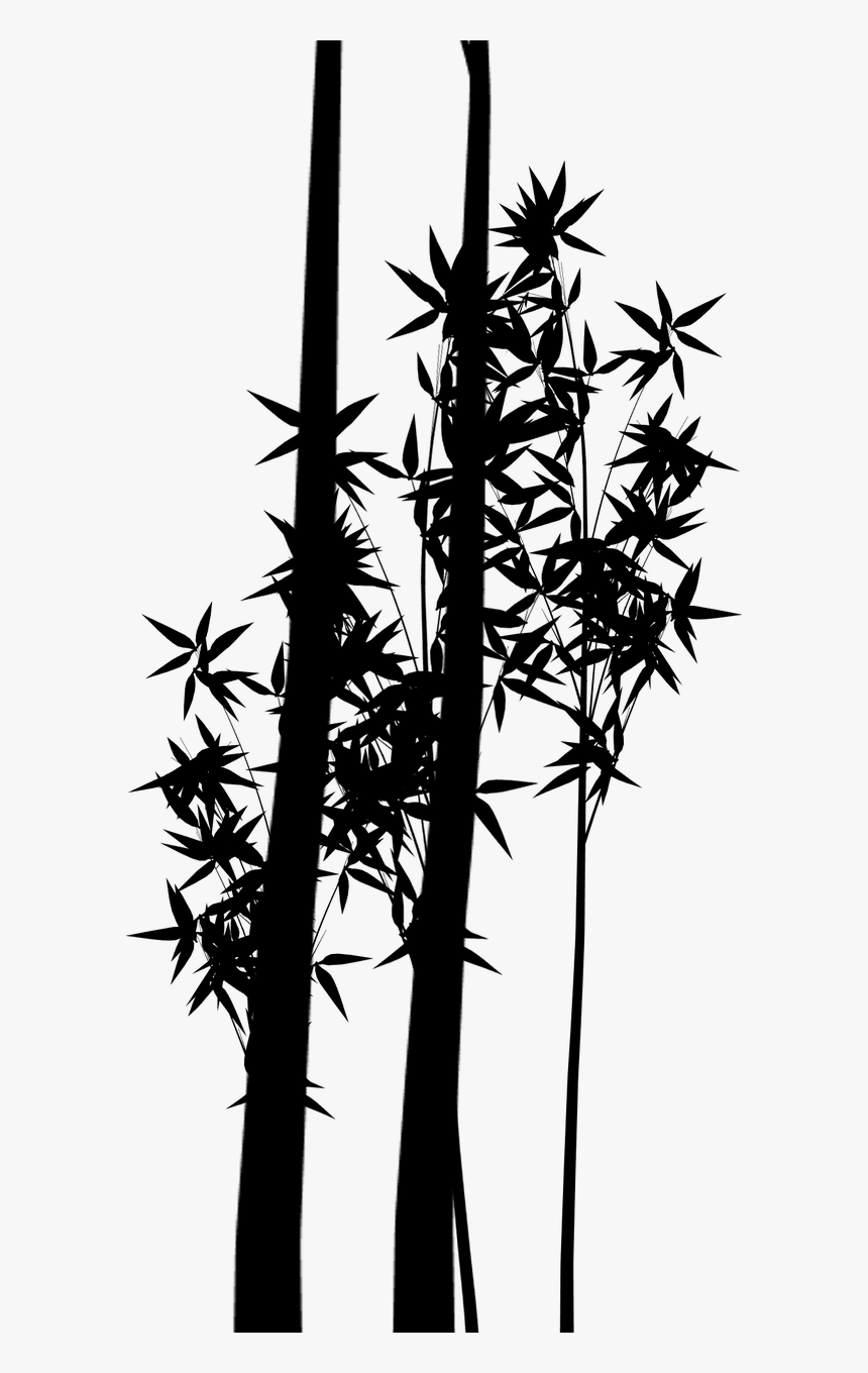Silhouette Plant Stem Bamboo Branching Plants - Silueta De Plantas Png, Transparent Png