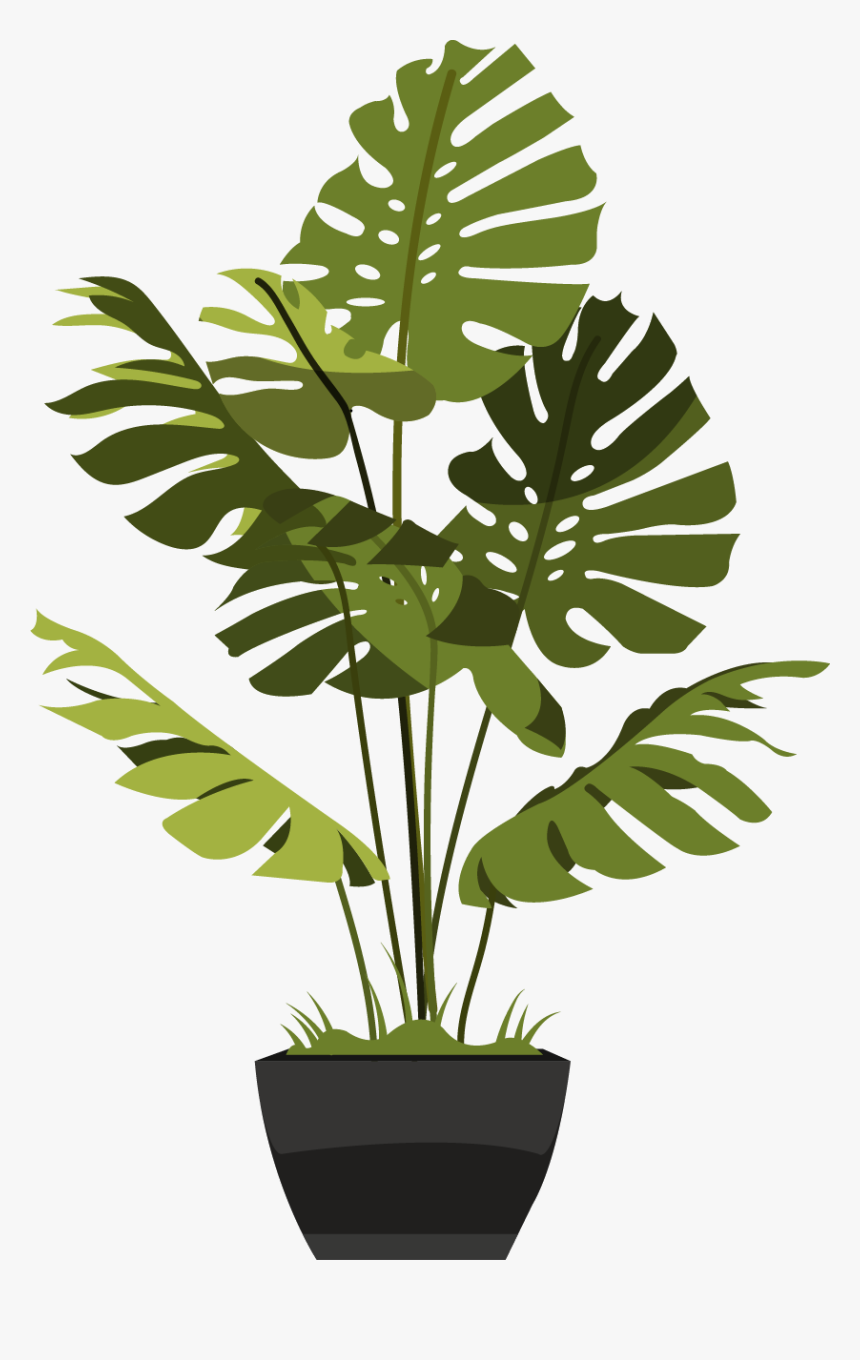Fake Plants Hong Kong, HD Png Download , Transparent Png Image PNGitem
