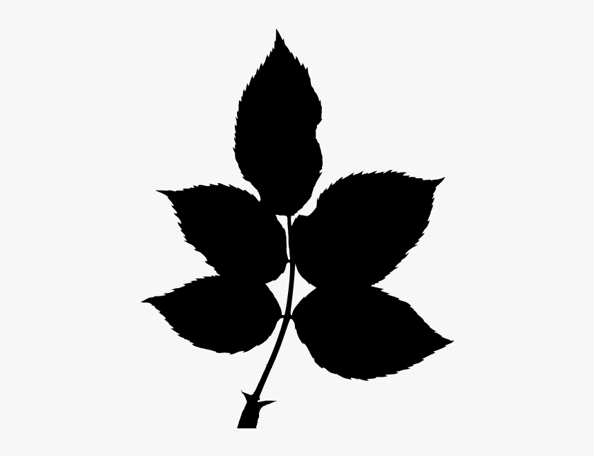 Plant,flower,leaf - Rose Leaf Silhouette, HD Png Download