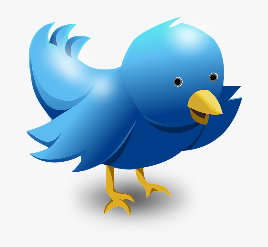 Twitter Logo Png, Transparent Png