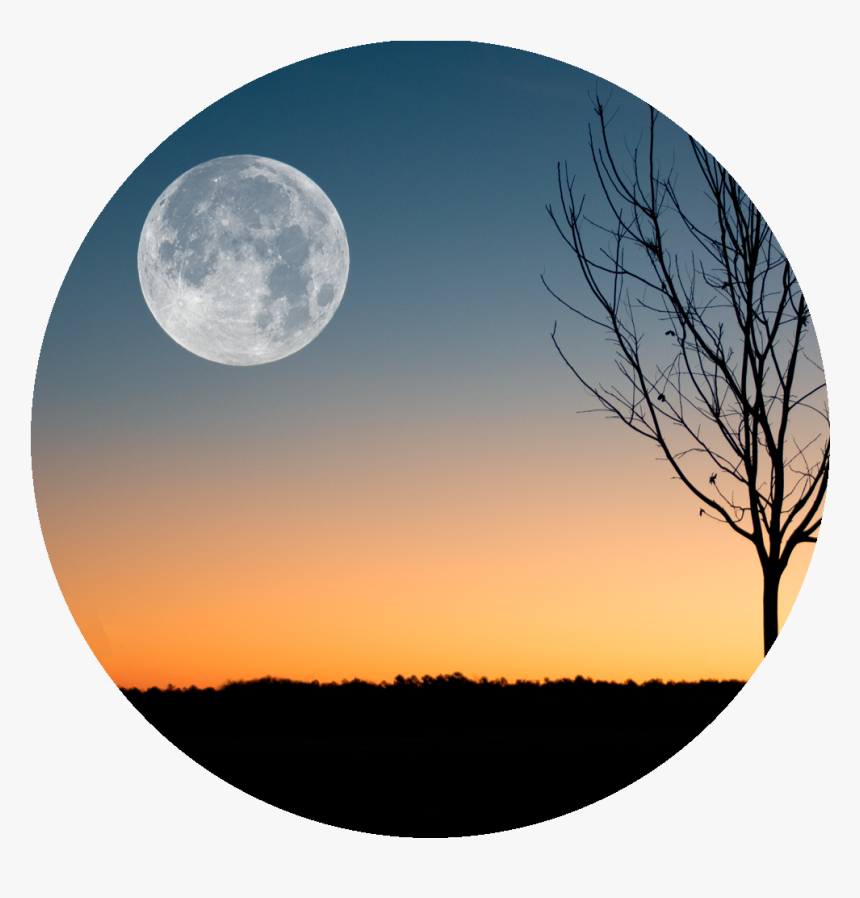 Harvest Moon Png -because I M Still In Love With You, - February Full Moon 2019, Transparent Png