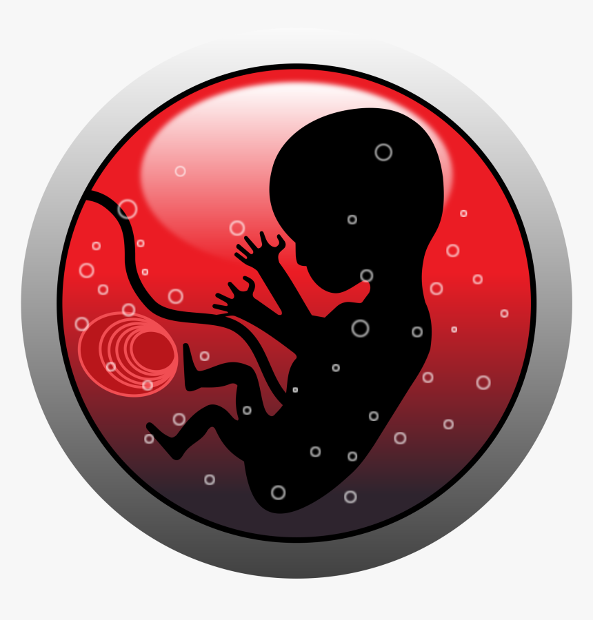 Transparent Abortion Clipart Png, Png Download