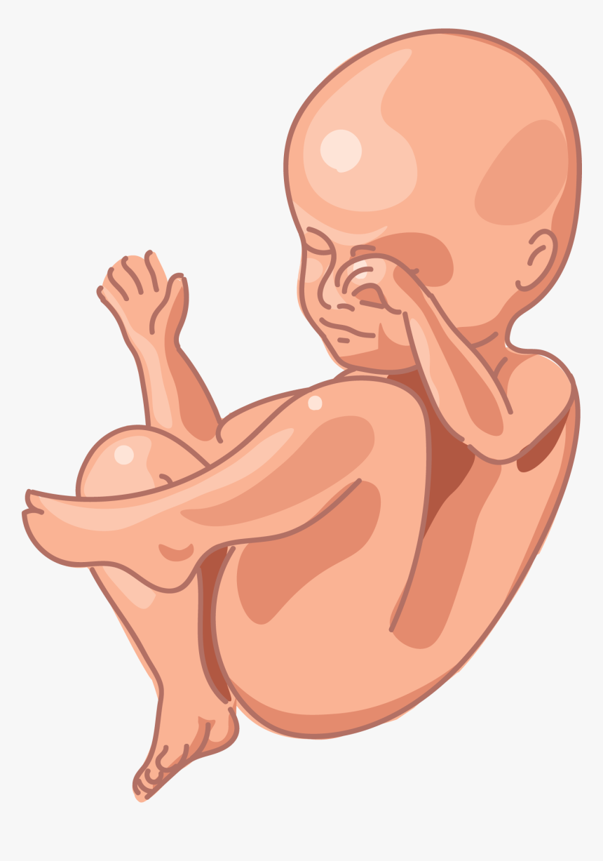 Illustration, HD Png Download