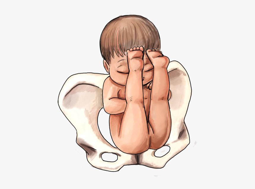 The Ultimate Guide To Baby Position In The Womb Natural - Breech Position Baby Girl, HD Png Download