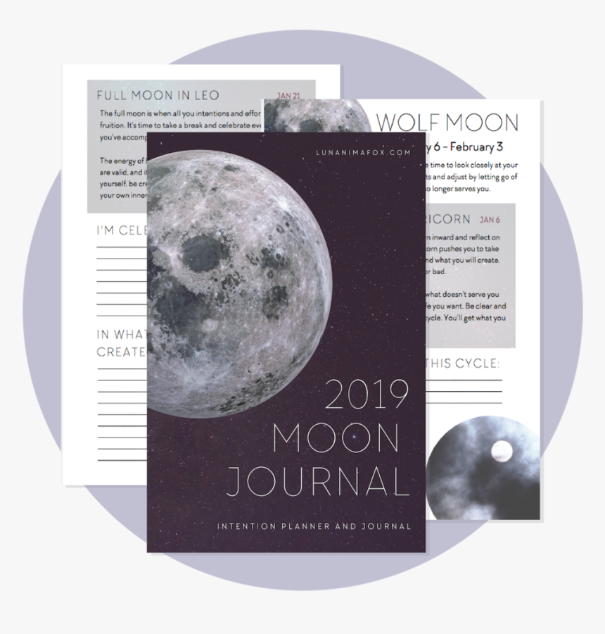 Transparent Phases Of The Moon Png - Moon, Png Download