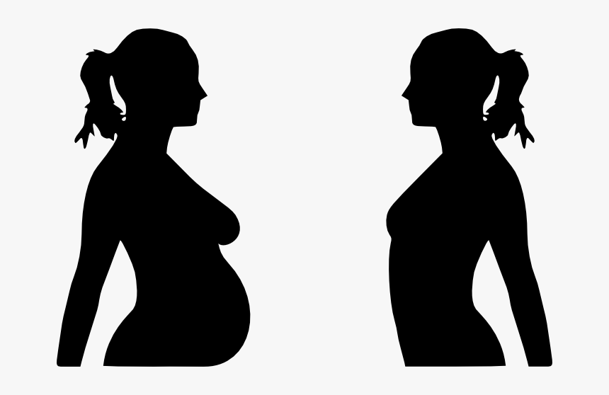 Transparent Baby In Womb Png - Pregnant And Non Pregnant, Png Download