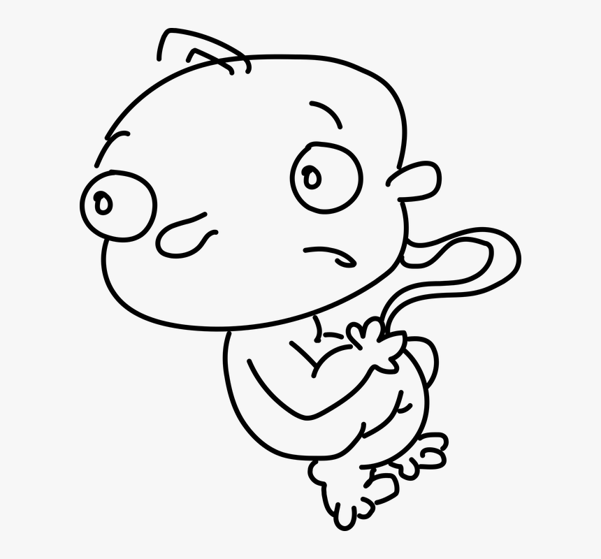 Baby, Fetus, Scare, Surprise, Surprised, Birth - Drawing, HD Png Download