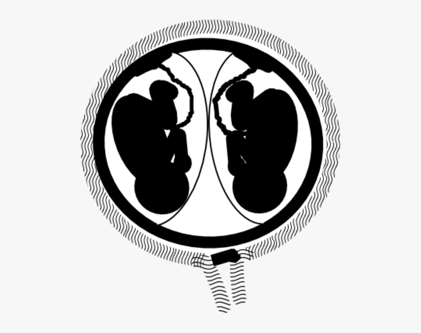 Twins In Womb Clipart, HD Png Download