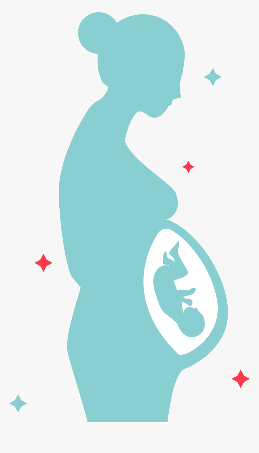 Pregnancy Childbirth Mother Pale - Espina Bifida Causas, HD Png Download