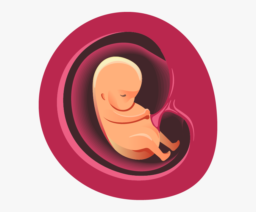 Two Months - Illustration, HD Png Download