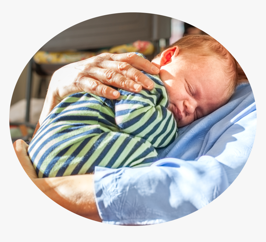 Baby In Womb Png, Transparent Png