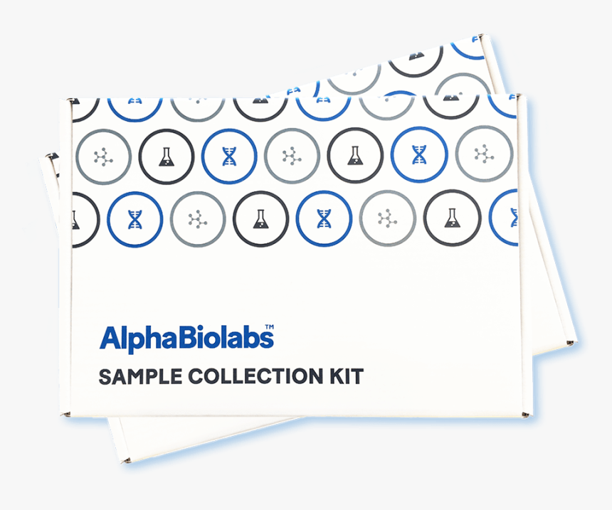 Poster, HD Png Download