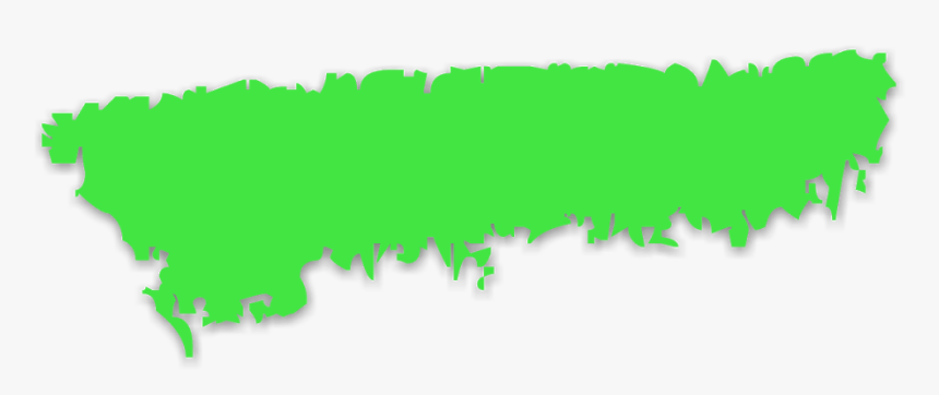 Tree, HD Png Download